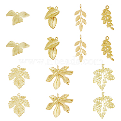 DIY Jewelry Making Finding Kit, Including Brass Pendants and Link Connectors, Maple & Grape Leaf, Raw(Unplated), 14~26x9~25x1~3mm, Hole: 1~2.5mm, 14Pcs/box(KK-FH0006-22)