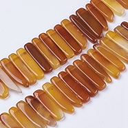 Natural Agate Beads Strands, Top Drilled Beads, Dyed, Rectangle, Sienna, 18~45x8~13x5~6.5mm, Hole: 1mm, about 14.56 inch~15.15 inch(37~38.5cm)(G-I198E-B-10)