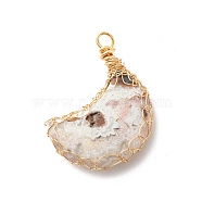 Natural Mexican Agate Pendants, with Golden Tone Copper Wire Wrapped, Moon, 41x30.5x8mm, Hole: 3.5x4.5mm(PALLOY-JF01632)