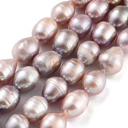 Natural Cultured Freshwater Pearl Beads Strands, Grade 4A+, Rice, Rosy Brown, 10~11mm, Hole: 0.7mm, about 15pcs/strand, 6.69~7.09''(17~18cm)(PEAR-P062-12D)