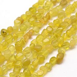 Natural Korea Olive Jade Beads Strands, Nuggets, 3~5x3~5x3~8mm, Hole: 1mm, about 85~90pcs/strand, 15.7 inch(40cm)(G-F465-39)