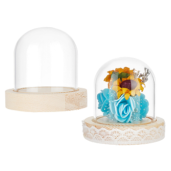 Glass Dome Cover, Decorative Display Case, Cloche Bell Jar Terrarium with Wood Base, for DIY Preserved Flower Gift, Clear, 77x74mm
