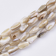 Freshwater Shell Beads Strands, Teardrop, Wheat, 9~10x5~5.5mm, Hole: 1mm, about 40pcs/strand, 10.43 inch(26.5 cm)(SHEL-S276-33)