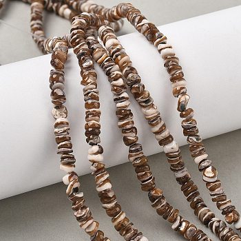 Natural Black Lip Shell Beads Strands, Nuggets, 3~5x1.5~4mm, Hole: 0.6~0.7mm, about 146~148pcs/strand, 14.72~14.96''(37.4~38cm)