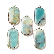 Natural Flower Amazonite Pendants, Light Gold Plated Brass Rectangle Charms, 47~48x22~22.5x4~4.5mm, Hole: 2mm(G-G063-02C)