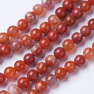 Natural Agate Beads Strands, Dyed & Heated, Grade A, Round, Chocolate, 8~8.5mm, Hole: 1.2mm, about 48pcs/strand, 15.1 inch(38.5cm)(G-G754-06-8mm)