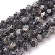 Natural Sesame Jasper/Kiwi Jasper Beads Strands, Star Cut Round Beads, Dyed, Faceted, Gray, 7~8mm, Hole: 1mm, about 47~48pcs/strand, 14.5 inch~15 inch(37~38cm)(G-F545-C10)