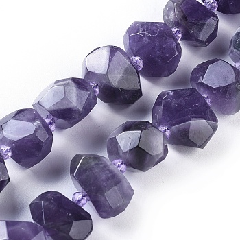 Natural Amethyst Beads Strands, Faceted, Nuggets, 12~16x17~19x11~17mm, Hole: 1.6mm, about 24pcs/strand, 15 inch(38.2cm)