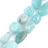 Natural Amazonite Beads Strands, Tumbled Stone, Nuggets, 5~13x5~10x3~8mm, Hole: 1mm, about 40~60pcs/strand, 14.57 inch~15.74 inch(37~40cm)(G-S359-159)