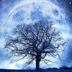 Tree & Moon DIY Diamond Painting Kits, including Resin Rhinestones, Diamond Sticky Pen, Tray Plate and Glue Clay, Cornflower Blue, 300x300mm(DIAM-PW0009-45C)