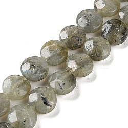 Natural Labradorite Beads Strands, Faceted, Flat Round, 10~10.5x4.5~5.5mm, Hole: 1.2mm, about 20pcs/strand, 7.80 inch(19.8cm)(G-K357-B03-01)