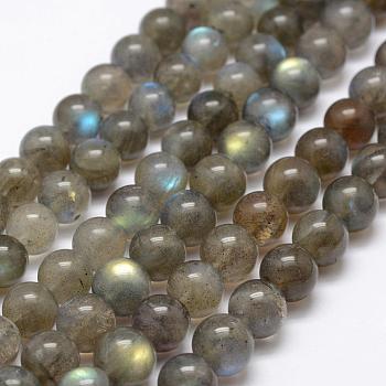 Natural Labradorite Beads Strands, Round, 10mm, Hole: 1mm, about 38pcs/strand, 14.5 inch