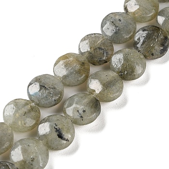Natural Labradorite Beads Strands, Faceted, Flat Round, 10~10.5x4.5~5.5mm, Hole: 1.2mm, about 20pcs/strand, 7.80 inch(19.8cm)