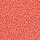 11/0 Grade A Baking Paint Glass Seed Beads(X-SEED-N001-A-1005)-2