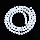 Natural Freshwater Shell Beads Strands(X-SHEL-N003-24-A01)-2