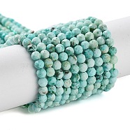 Natural Peruvian Turquoise(Jasper) Beads Strands, Faceted, Round, 3.5mm, 15.55''(39.5cm)(G-J401-A01-01)