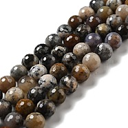 Natural Dendritic Jasper Beads Strands, Faceted(128 Facets), Round, 10mm, Hole: 1mm, about 36~38pcs/strand, 14.17~14.96 inch(36~38cm)(G-E571-32B)