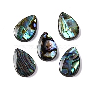 Natural Paua Shell Epoxy Resin Cabochons, Teardrop, 15x9.5x2.5mm(SSHEL-S279-01E)