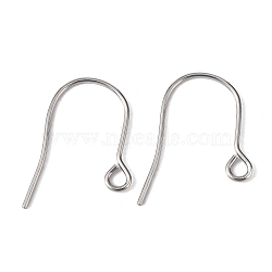 Tarnish Resistant 304 Stainless Steel Ear Wire, with Horizontal Loop, 22x18mm, Hole: 2.2mm(STAS-H020-NF)