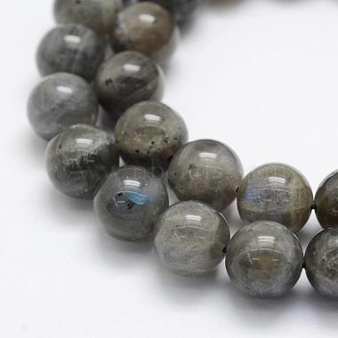Natural Labradorite Beads Strands(G-P322-31-10mm)-3