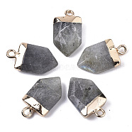 Natural Labradorite Pointed Pendants, with Light Gold Plated Top and Brass Loop, Arrow, Faceted, 19x10.5x4.5mm, Hole: 1.8mm(X-G-N326-34C)