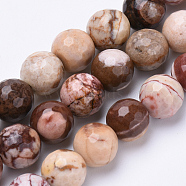 Natural Zebra Jasper Beads Strands, Faceted, Round, 8mm, Hole: 1.2mm, about 45pcs/strand, 15.3 inch(G-S281-06-8mm)