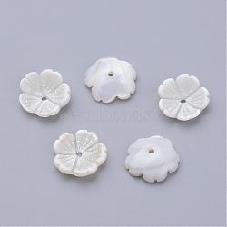 Natural Freshwater Shell Beads, Flower, Creamy White, 12x12.5x3mm, Hole: 1mm(SHEL-Q007-09)
