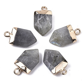 Natural Labradorite Pointed Pendants, with Light Gold Plated Top and Brass Loop, Arrow, Faceted, 19x10.5x4.5mm, Hole: 1.8mm