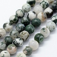 Natural Tree Agate Beads Strands, Round, 10mm, Hole: 1.2mm, about 37pcs/strand, 14.76 inch(37.5cm)(G-I199-03-10mm)