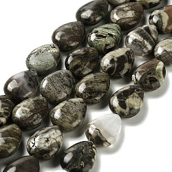 Natural Wealth Stone Jasper Beads Strands, Teardrop, 17.5~18x13x6mm, Hole: 1.2mm, about 22pcs/strand, 15.24 inch(38.7cm)(G-L242-32)