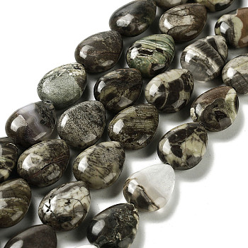 Natural Wealth Stone Jasper Beads Strands, Teardrop, 17.5~18x13x6mm, Hole: 1.2mm, about 22pcs/strand, 15.24 inch(38.7cm)