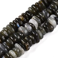 Natural Labradorite Beads Strands, Nuggets, Tumbled Stone, 3~6.5x10~12x8~12mm, Hole: 1mm, about 86~91pcs/strand, 15.35~16.4''(39~41cm)(G-T141-09)