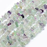 Natural Fluorite Beads Strands, Chip, 5~8mm, Hole: 1mm, about 33 inch(84cm)(G-P332-27)
