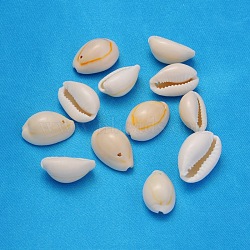 Natural Cowrie Shell Beads, Seashell Color, 18.5~23x13~14x9~11mm, Hole: 1.5mm, about 470pcs/500g(BSHE-S056)