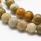 Natural Fossil Coral Beads Strands(G-K194-8mm-05)-3