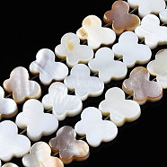 Natural Freshwater Shell Beads Strands, Butterfly, Seashell Color, 9x11x2.5~3mm, Hole: 1mm, about 49~51pcs/strand, 14.72~15.08 inch(37.4~38.3cm)(SHEL-Q024-011)