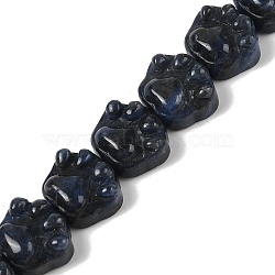 Natural Sodalite Beads Strands, Cat's Paw, 16x14x9.5mm, Hole: 1mm, about 13pcs/strand, 7.20''(18.3cm)(G-M108-A01-01)