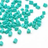 Opaque Glass Seed Beads, Triangle, Medium Turquoise, 1~3x2.5x2mm, Hole: 0.5mm, about 30000pcs/bag, 440~450g/bag(SEED-R030-B06)