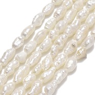 Natural Cultured Freshwater Pearl Beads Strands, Keshi Pearl Beads, Nuggets, Linen, 4~5.5x3~3.5mm, Hole: 0.5mm, about 58~60pcs/strand, 13.78''(35cm)(PEAR-J006-07A)
