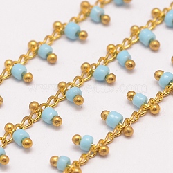3.28 Feet Handmade Seed Beaded Chains, Soldered, with Brass Findings, Light Sky Blue, 6x2~3mm(X-AJEW-P061-B01)