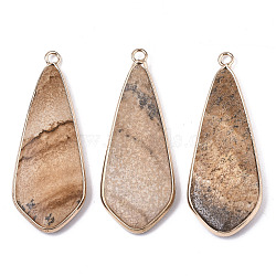 Natural Picasso Jasper Pendants, with Light Gold Plated Brass Edge and Loop, Teardrop, 49x18x4.5mm, Hole: 2.5mm(G-S359-108B)