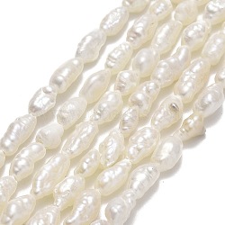 Natural Cultured Freshwater Pearl Beads Strands, Keshi Pearl Beads, Nuggets, Linen, 4~5.5x3~3.5mm, Hole: 0.5mm, about 58~60pcs/strand, 13.78''(35cm)(PEAR-J006-07A)