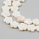 Electroplate Natural Freshwater Shell Beads Strands(SHEL-T017-08)-3