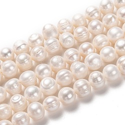 Natural Cultured Freshwater Pearl Beads Strands, Potato, Bisque, 10~11x9.5~12mm, Hole: 0.6mm, about 34pcs/strand, 13.98 inch(35.5cm)(PEAR-L033-92)