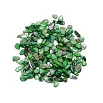 Natural Shell Beads, No Hole, Chip, Green, 8~19x5.5~11x1.5~5mm, 100g/bag(BSHE-WH0001-06)