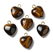 Natural Tiger Eye Pendants, Heart Charms with Golden Plated Brass Loops, 15~15.5x12~12.5x4.5~5.5mm, Hole: 2mm(G-E603-01G-06)