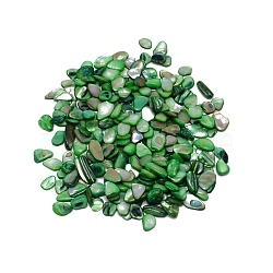 Natural Shell Beads, No Hole, Chip, Green, 8~19x5.5~11x1.5~5mm, 100g/bag(BSHE-WH0001-06)