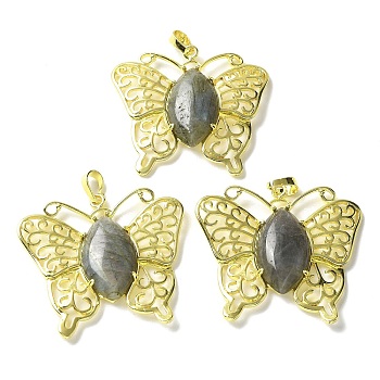 Natural Labradorite Pendants, Brass Butterfly Charms, Golden, Rack Plating, Cadmium Free & Lead Free, 41.5x45x8mm, Hole: 8x4.5mm