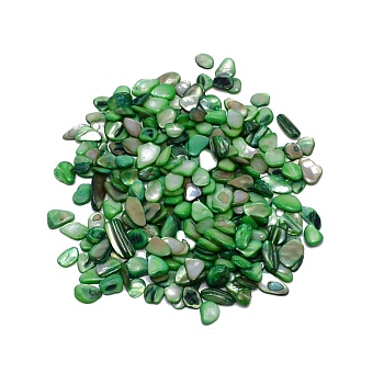 Natural Shell Beads, No Hole, Chip, Green, 8~19x5.5~11x1.5~5mm, 100g/bag