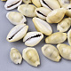 Natural Cowrie Shell Beads(X-SSHEL-N034-C-26)-1